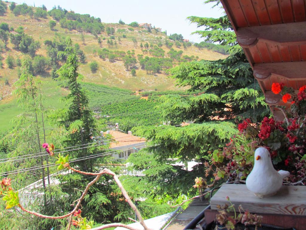 Vila Mina Teva Metula Exteriér fotografie